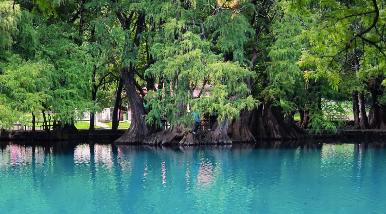 Lago de Camécuaro 2