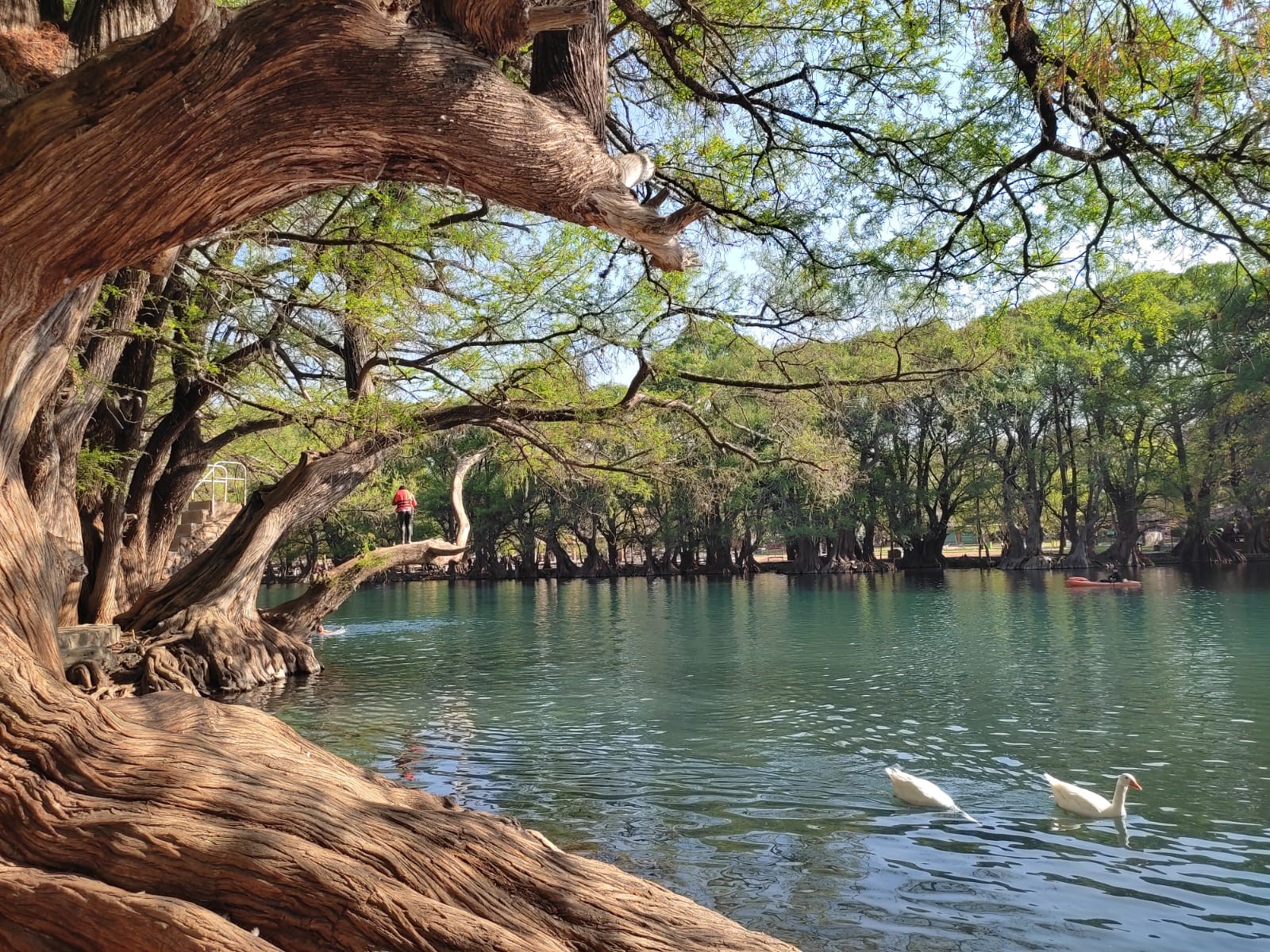 Lago de Camécuaro 3